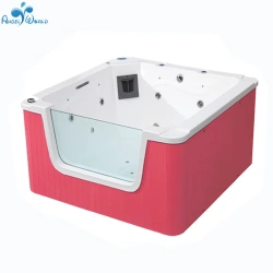 Детский СПА бассейн Angel World DB10